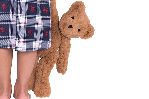 An image of the 15-inch Buddy bear